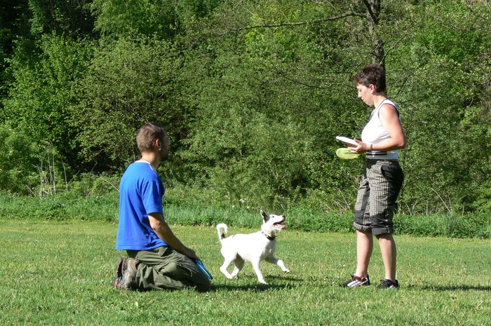 Frisbee_160507_9.jpg