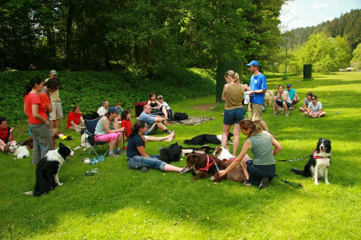 Frisbee_160507_g.jpg