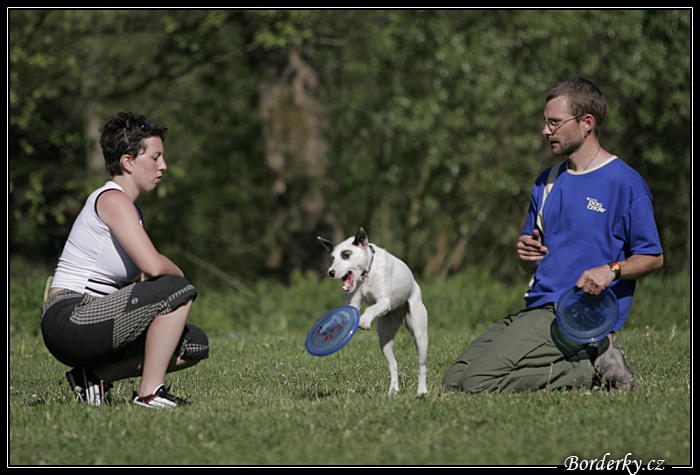 Frisbee_160507_0.jpg