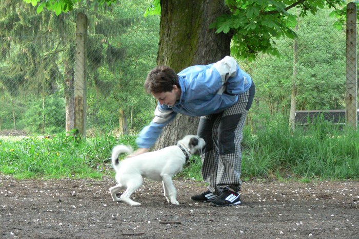 Frisbee_160507_6.jpg