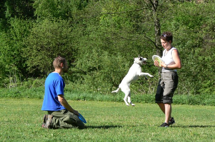 Frisbee_160507_10.jpg