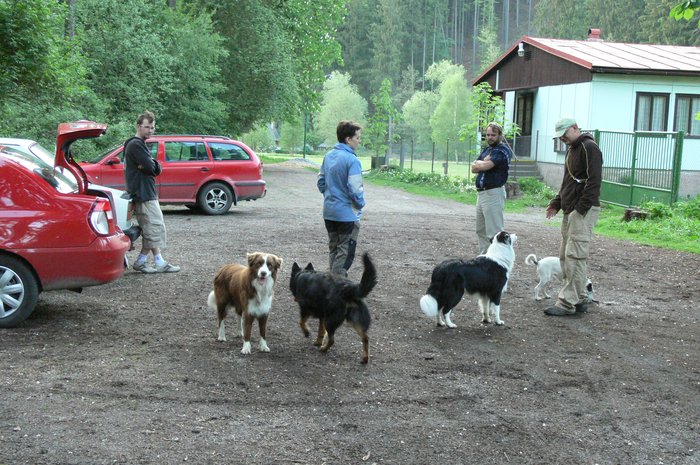 frisbee_160507_5.jpg